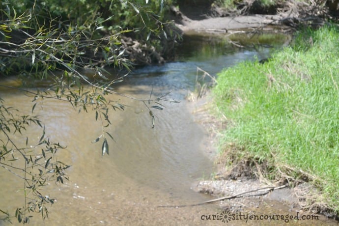 on the shores of plum creek