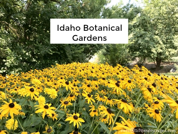 Idaho Botanical Gardens, family travel Southwest Idaho