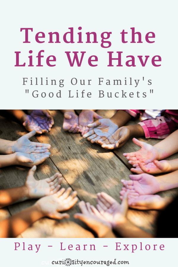 Inspired by the book, How to Live a Good Life, by Jonathan Fields, consider ways to tend the life you have while making sure your "good life buckets" are being filled. 