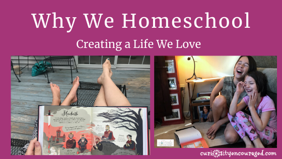 Why homeschool? There are so many reasons. 