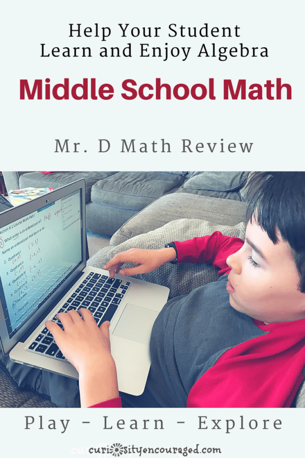 Mr. D's virtual classroom, teaching style, and engaging lessons help students learn and enjoy math.