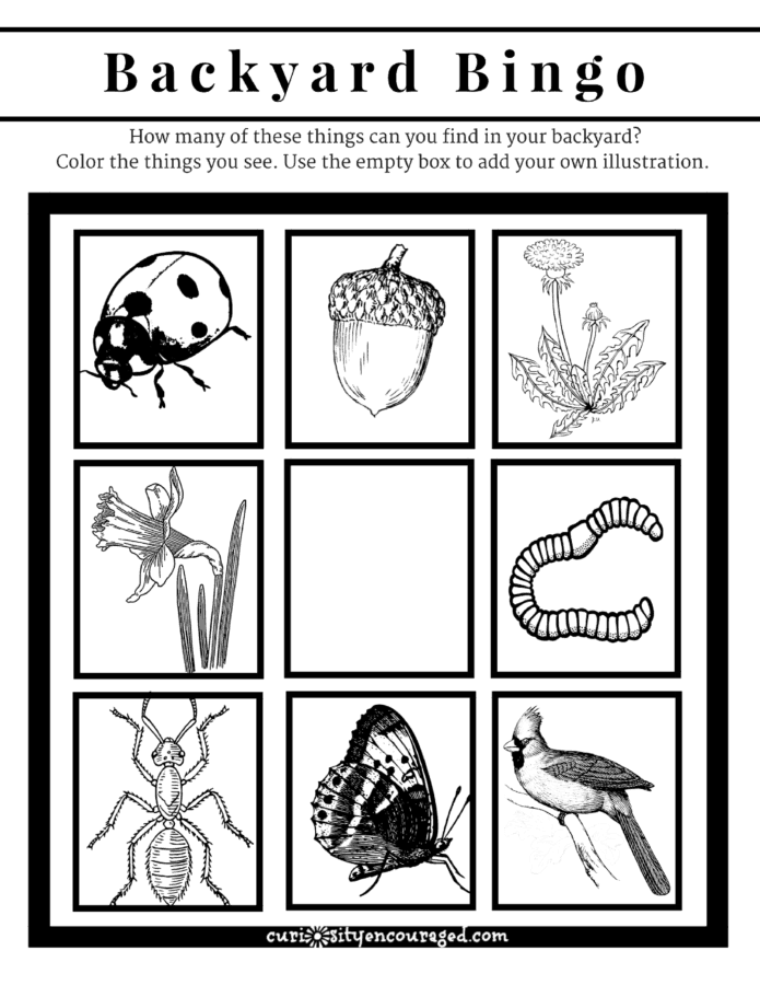 Free printable for subscribers of Curiosity Encouraged. Three pages- color, play, explore