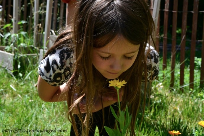 Backyard Science- Find ideas to make your backyard your kids favorite place to play.