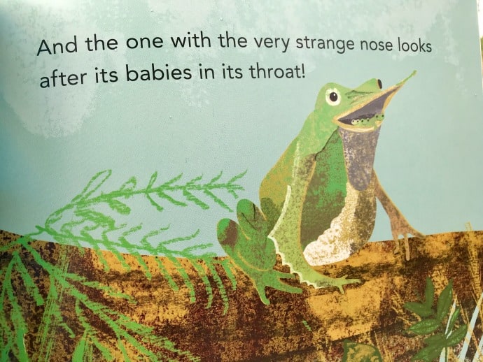 Explore Ecology with young children. Check out Candlewick Press' Spring 2018 collection of picture books that help children learn about the natural world. 