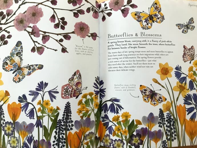 Explore Ecology with young children. Check out Candlewick Press' Spring 2018 collection of picture books that help children learn about the natural world.