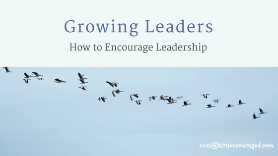 The way we lead and encourage leadership in our home and classrooms matters. When we step back and offer our children opportunity and encouragement, our children will take the lead. Here are simple ways to help kids lead. 