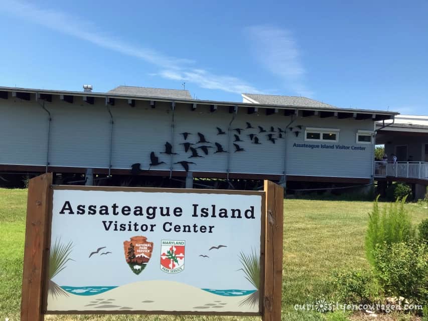 One of the most beautiful places my family has visited, Assateage Island offers swimming, hiking, nature programs, camping, and wildlife viewing. Clean beaches, huge campsites, wild ponies- if your family loves the outdoors, Assateague Island cannot be missed!