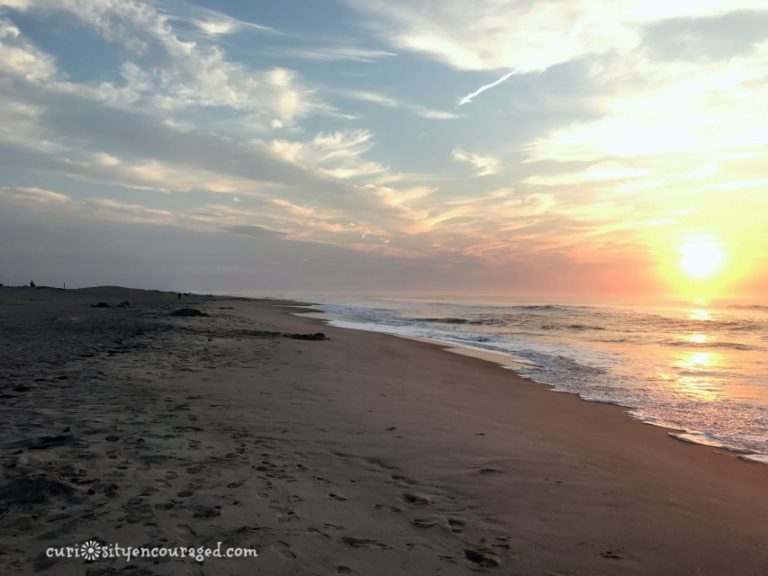 Assateague Island- A Guide to Visiting and Camping with Kids