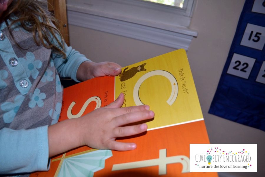 Choosing a homeschool curriculum in the early years- Resources to help young children learn and love to learn.