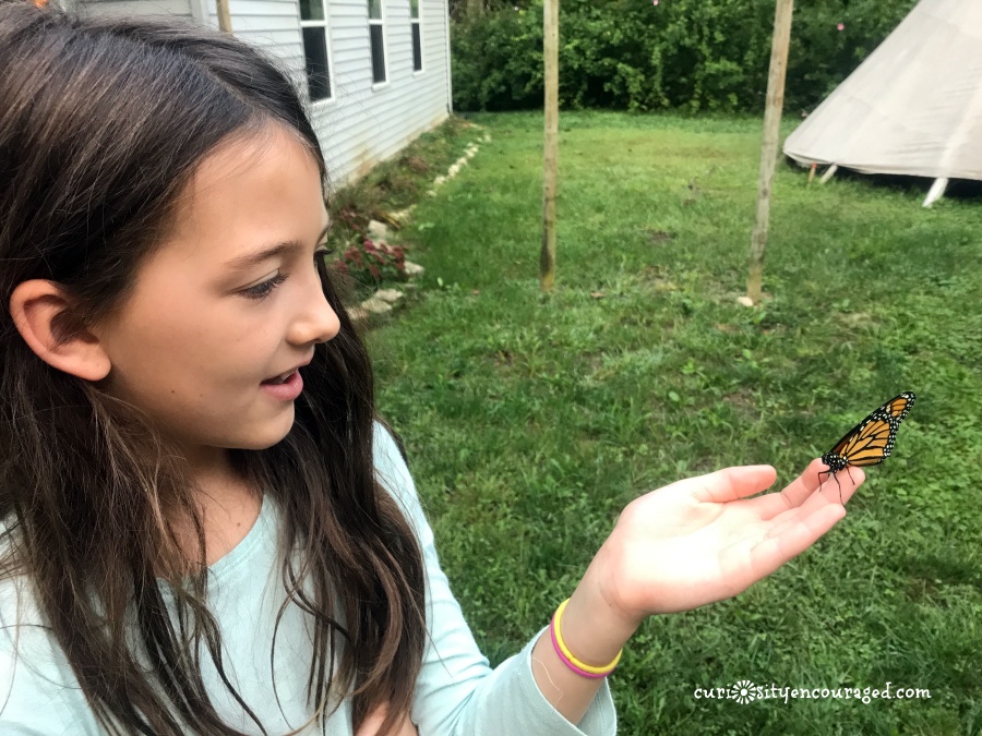 Love being outside? Looking for fun ways to limit screentime? Here are my favorite creative, outside the box ways to explore nature with kids.