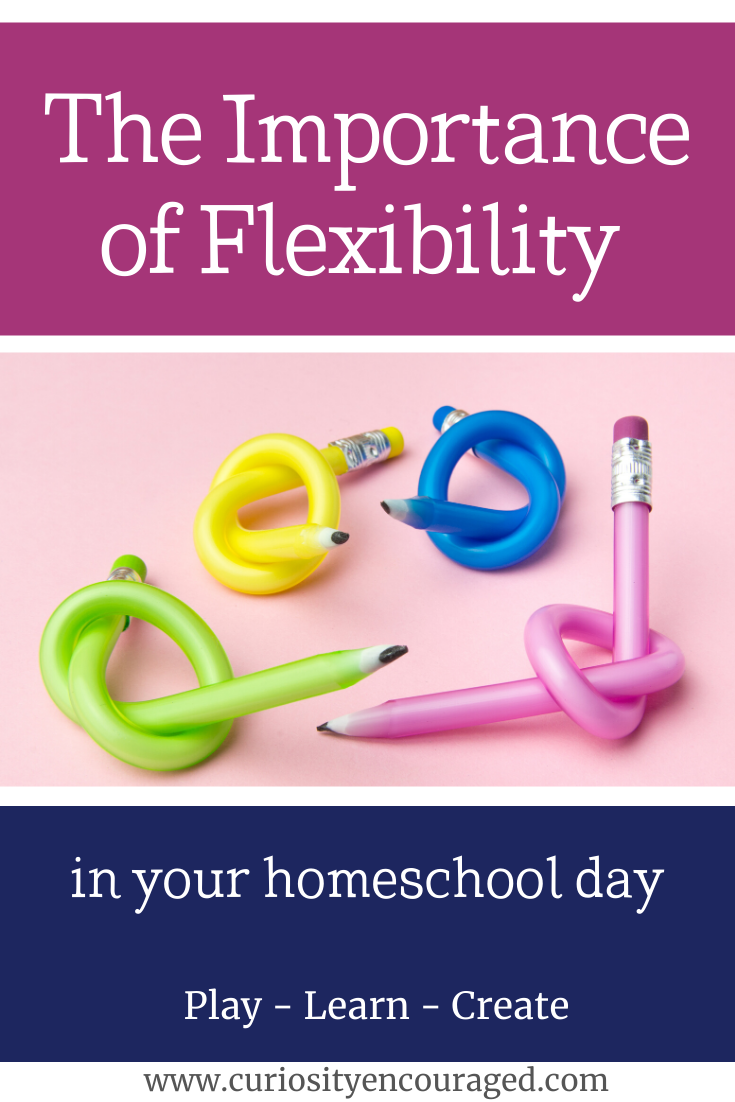 The Importance of Flexibility in a Homeschool Day - Curiosity Encouraged