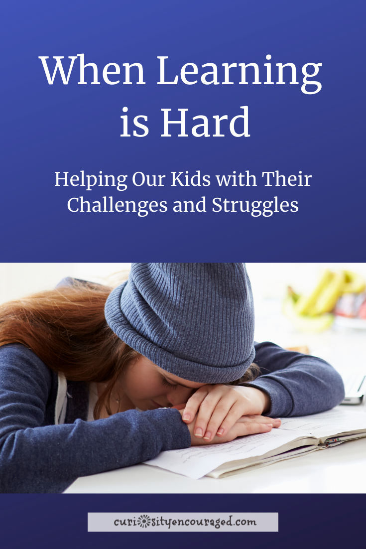 How to Help Our Kids When Learning is Hard. 