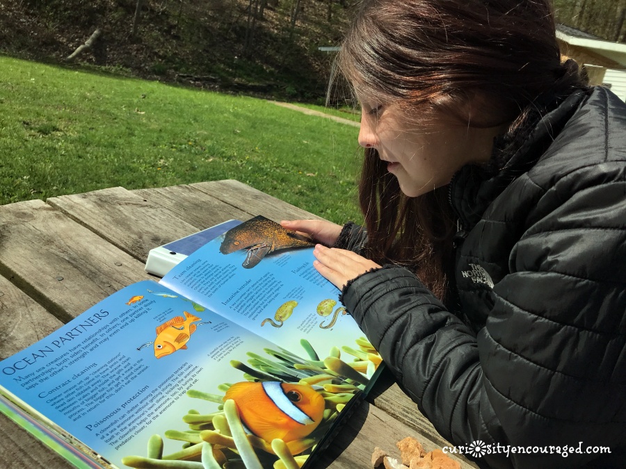 BookShark's Hands-on Science Curriculum invites students into the world of science. With a secular focus on literature, writing, and critical thinking, your students will love to learn. 